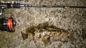 ¥¿¥±¥Î¥³¥á¥Ð¥ë