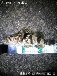 �����Υ���Х�