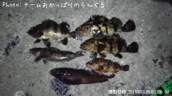 �ܾ�ε�����