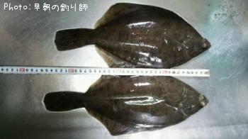 �ޥ����쥤