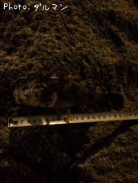 �����Υ���Х�