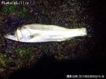 �����Х�