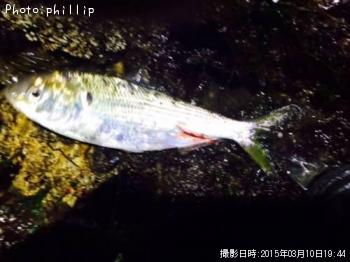 ���Υ���