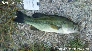 �֥�å��Х�