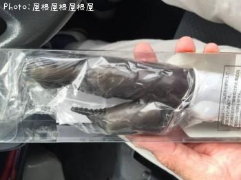 ̵¤¯¤Ê¤ê¤Þ¤·¤¿¡Ê¾Ð¡Ë