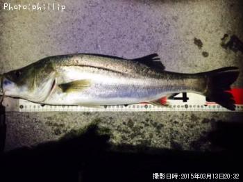 �����Х�