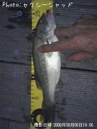 �֥�å��Х�