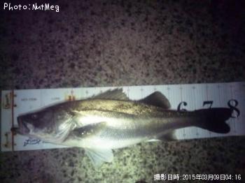 �����Х�