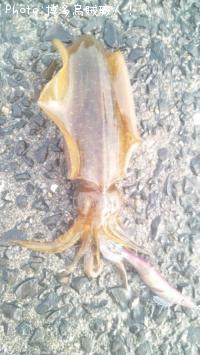 �����ꥤ��