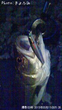 �����Х�