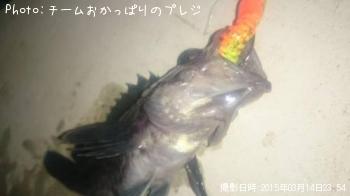 ¥¯¥í¥½¥¤