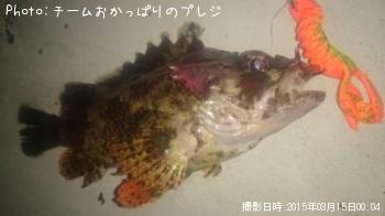 �������Х�