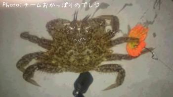 �������Х�