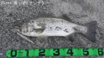 �ҥ饹����