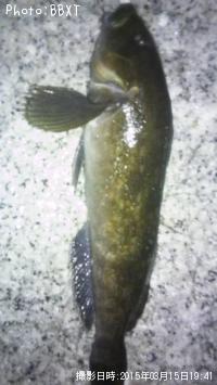 �����ʥ�