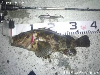 ¥Ù¥Ã¥³¥¦¥½¥¤