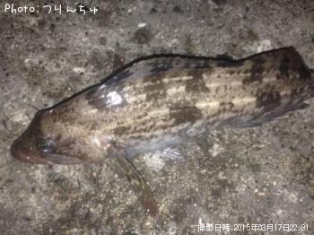 �����ʥ�