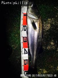 �����Х�