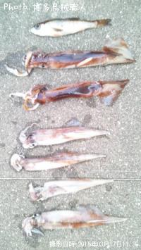 ¥¹¥ë¥á¥¤¥«