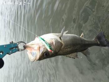 �����Х�