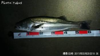 �����Х�