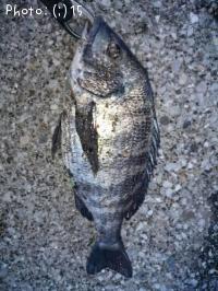 ���������������Х�