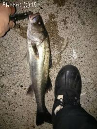 ���������������Х�