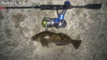 �����ʥ�