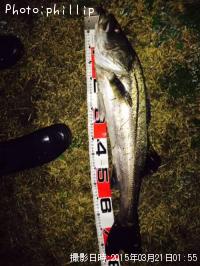 �����Х�