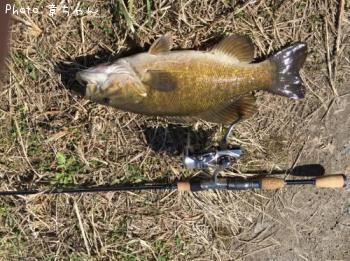 �֥�å��Х�