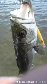 �����Х�