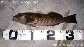 �����ʥ�