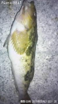 �����ʥ�