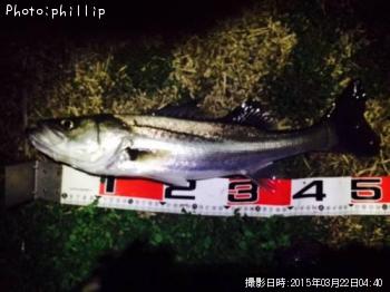 �����Х�