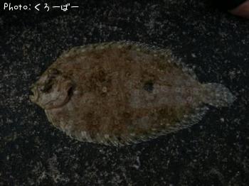 �ȥ������