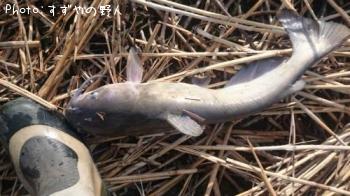 ����åȥե��å���