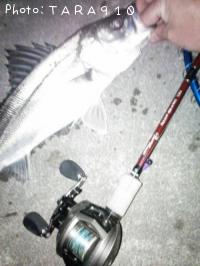 �����Х�