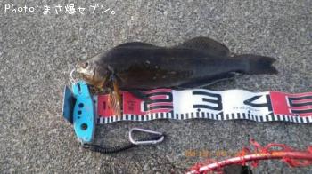 �����ʥ�