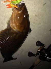 �����ʥ�