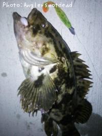 �٥å�������