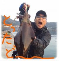 �����ꥤ��