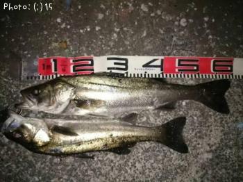 �����Х�