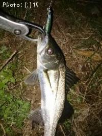 �����Х�