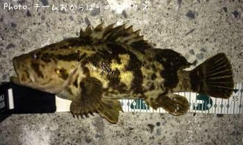 ¥¿¥±¥Î¥³¥á¥Ð¥ë