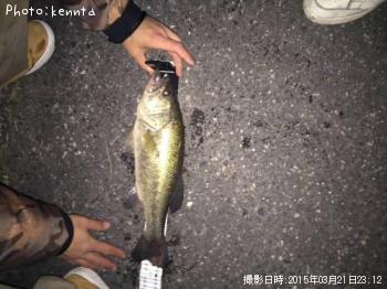 �֥�å��Х�