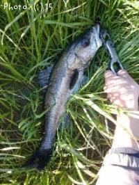 �����Х�