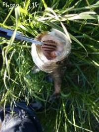 �����Х�