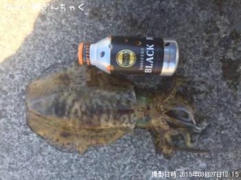 �����ꥤ��