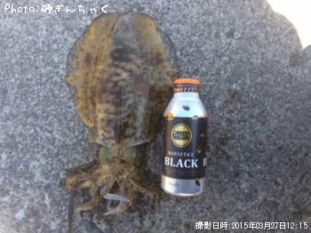 �����ꥤ��