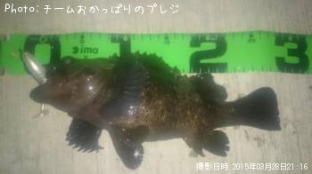 ��饽��
